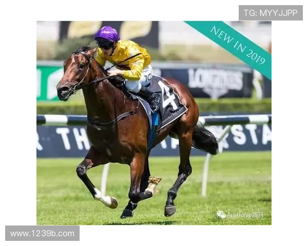 澳洲赛马最新开奖记录与赛程结果查询